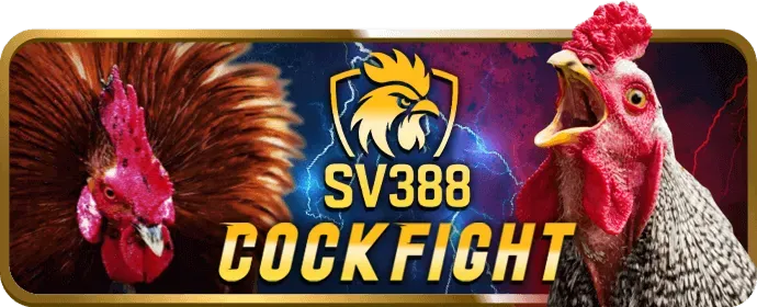 Hoàn trả hàng tuần W88Vin